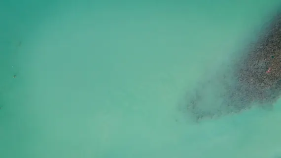 Kasino Lucky Luke Podpora